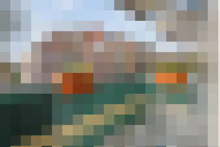 de Swaenenborgh 47 Meppel thumbnail 17