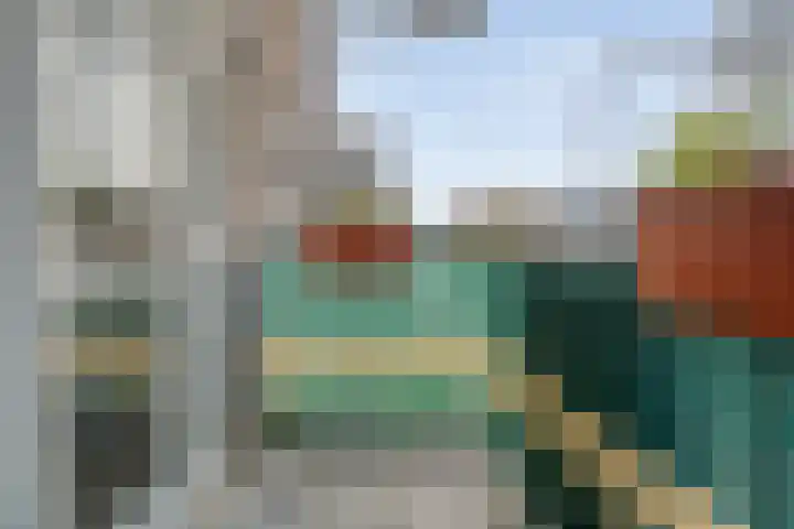 de Swaenenborgh 47 Meppel thumbnail 18