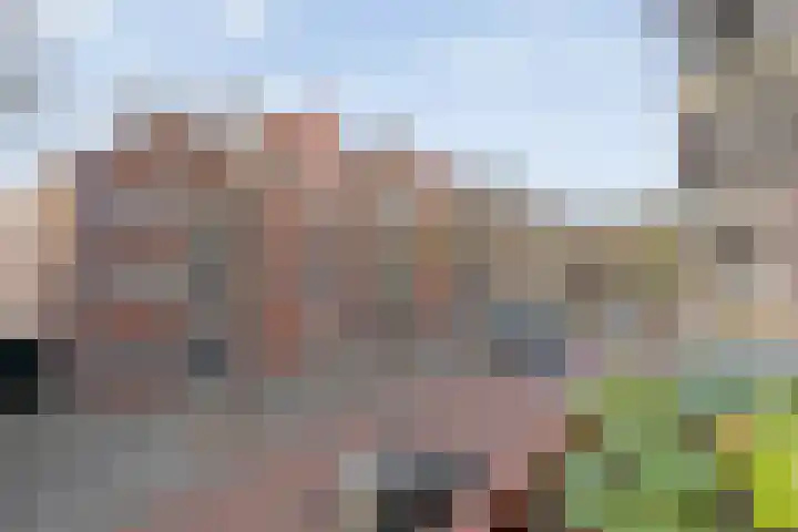 de Swaenenborgh 47 Meppel thumbnail 19