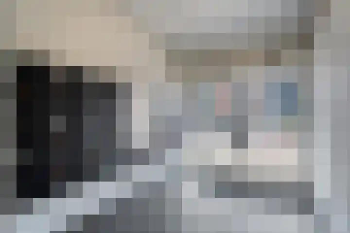 de Swaenenborgh 47 Meppel thumbnail 23