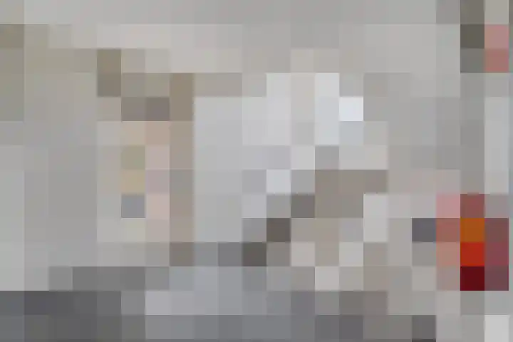 de Swaenenborgh 47 Meppel thumbnail 25