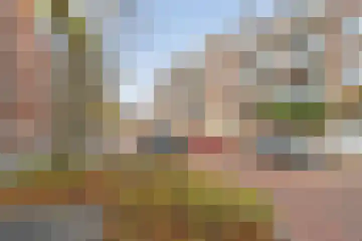 de Swaenenborgh 47 Meppel thumbnail 26