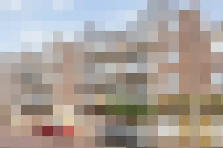 de Swaenenborgh 47 Meppel thumbnail 27