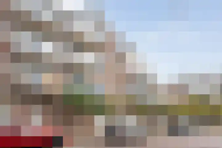 de Swaenenborgh 47 Meppel thumbnail 28