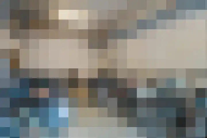 de Swaenenborgh 47 Meppel thumbnail 31