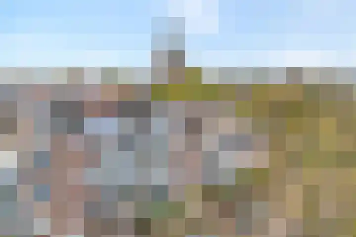 de Swaenenborgh 47 Meppel thumbnail 4