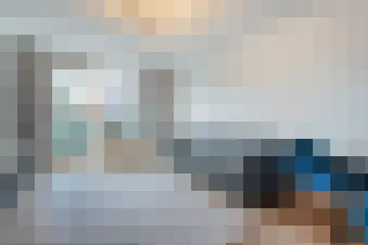 de Swaenenborgh 47 Meppel thumbnail 5
