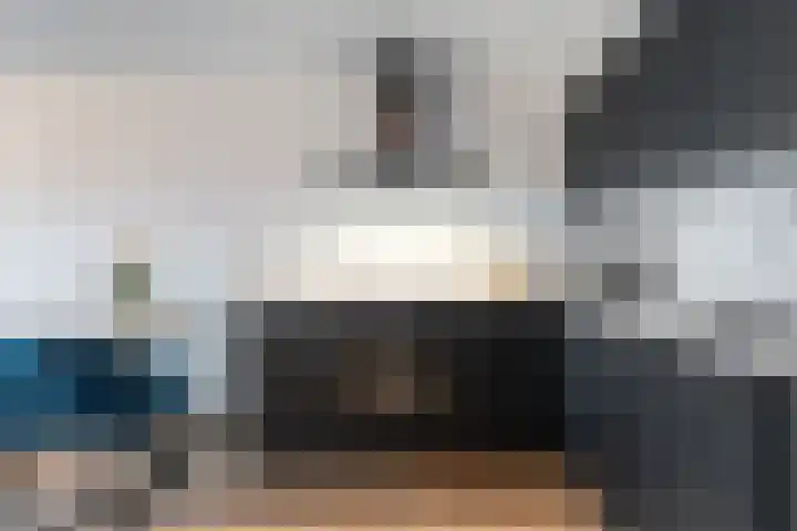 de Swaenenborgh 47 Meppel thumbnail 7