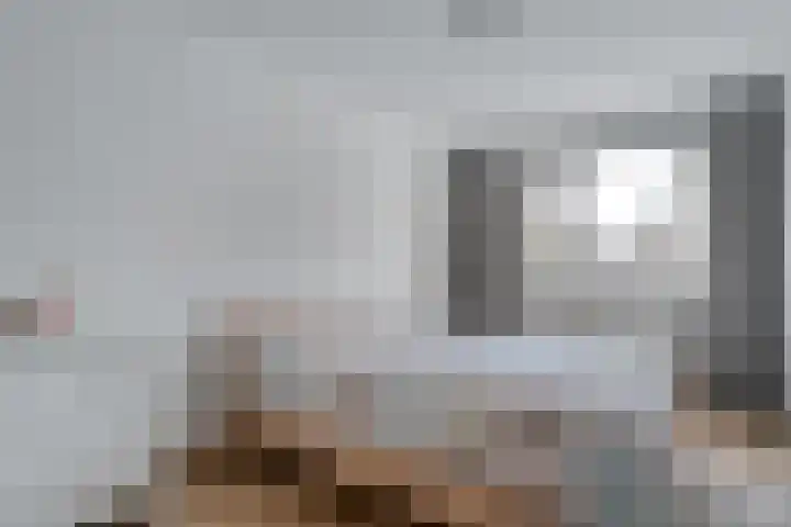 de Swaenenborgh 47 Meppel thumbnail 8
