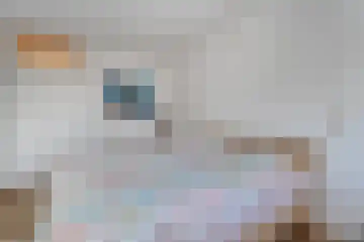 de Swaenenborgh 47 Meppel thumbnail 9