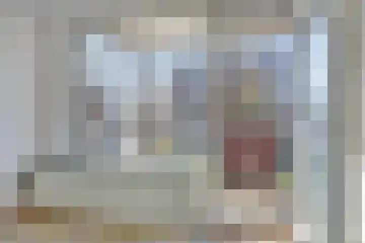 de Swaenenborgh 54 Meppel thumbnail 10