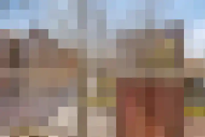 de Swaenenborgh 54 Meppel thumbnail 12