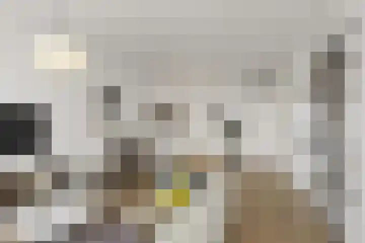 de Swaenenborgh 54 Meppel thumbnail 14