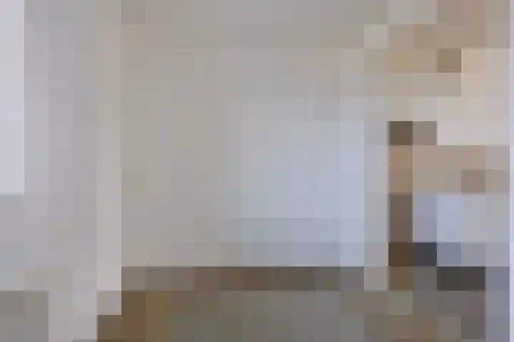 de Swaenenborgh 54 Meppel thumbnail 17