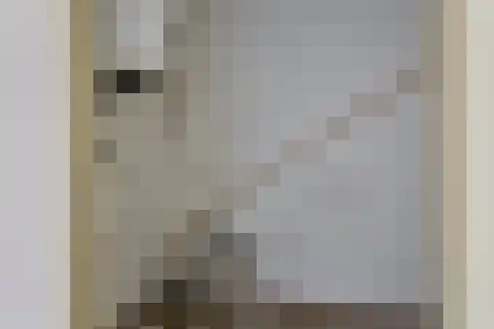 de Swaenenborgh 54 Meppel thumbnail 22
