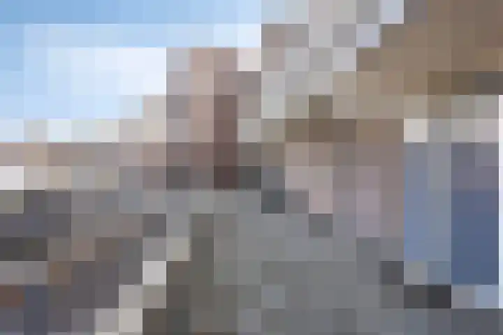 de Swaenenborgh 54 Meppel thumbnail 23