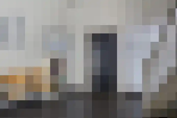 de Swaenenborgh 54 Meppel thumbnail 28
