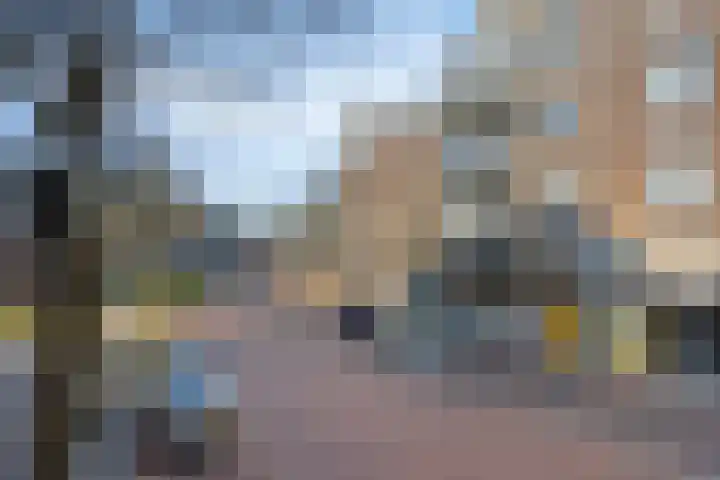 de Swaenenborgh 54 Meppel thumbnail 32