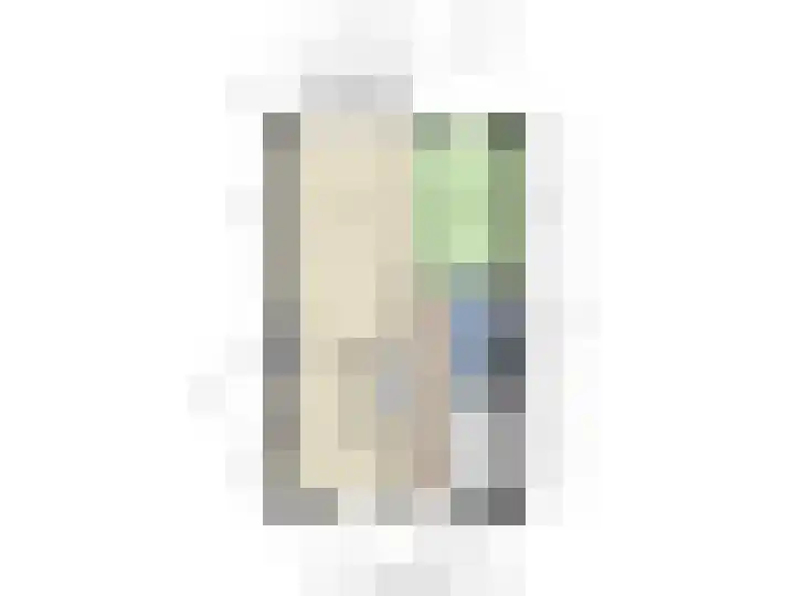 de Swaenenborgh 54 Meppel thumbnail 33