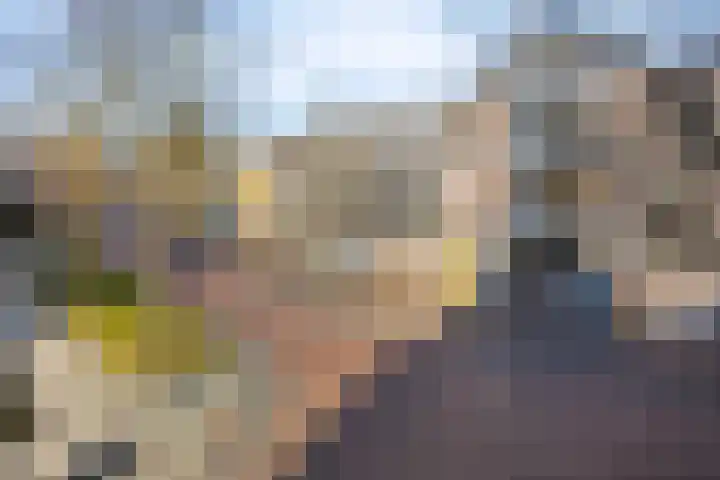 de Swaenenborgh 54 Meppel thumbnail 4