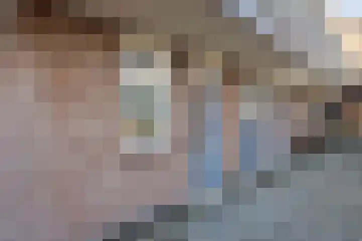 de Swaenenborgh 54 Meppel thumbnail 5