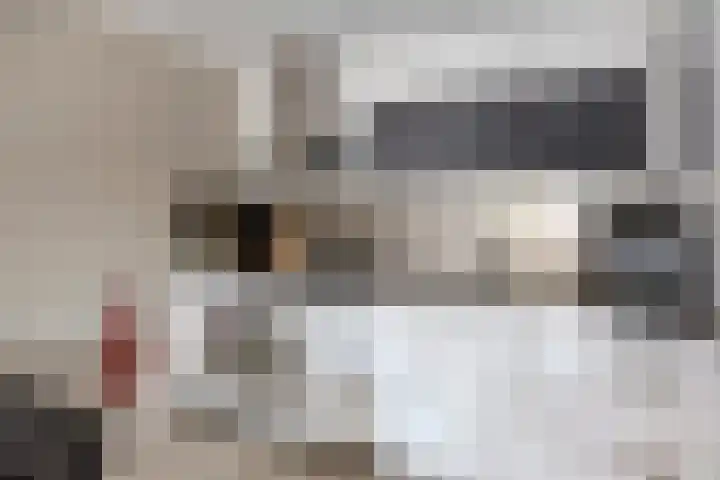 de Swaenenborgh 66 Meppel thumbnail 11