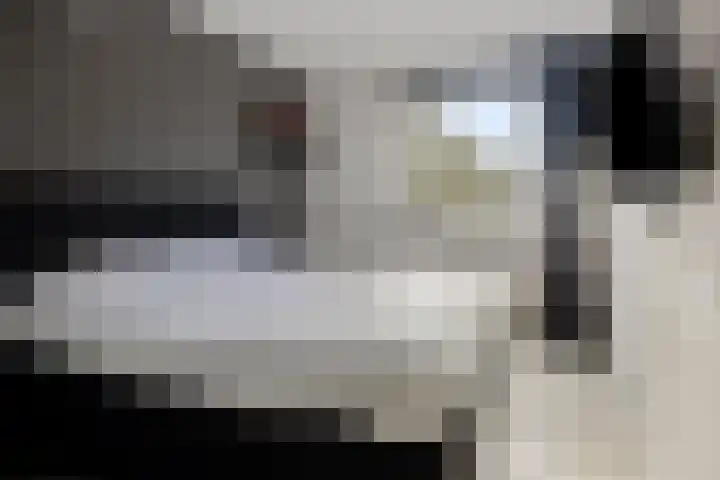 de Swaenenborgh 66 Meppel thumbnail 13