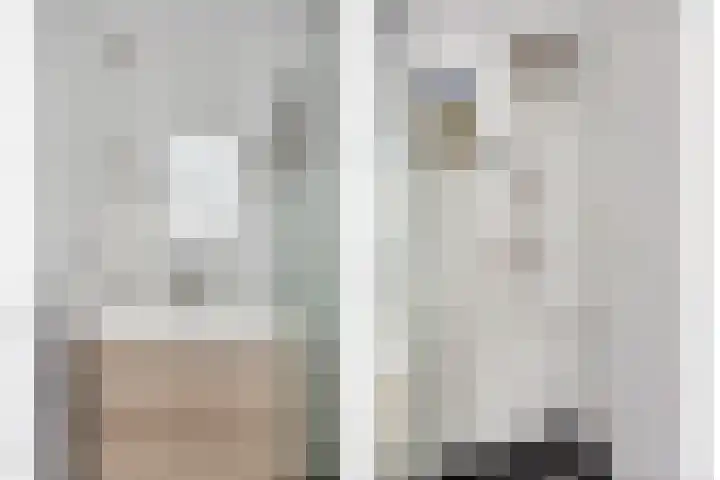 de Swaenenborgh 66 Meppel thumbnail 17