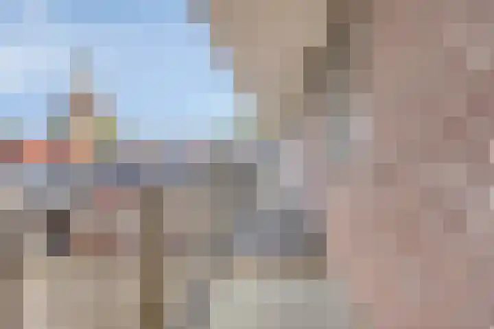 de Swaenenborgh 66 Meppel thumbnail 21