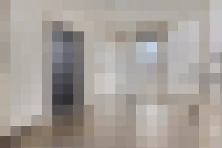 de Swaenenborgh 66 Meppel thumbnail 22