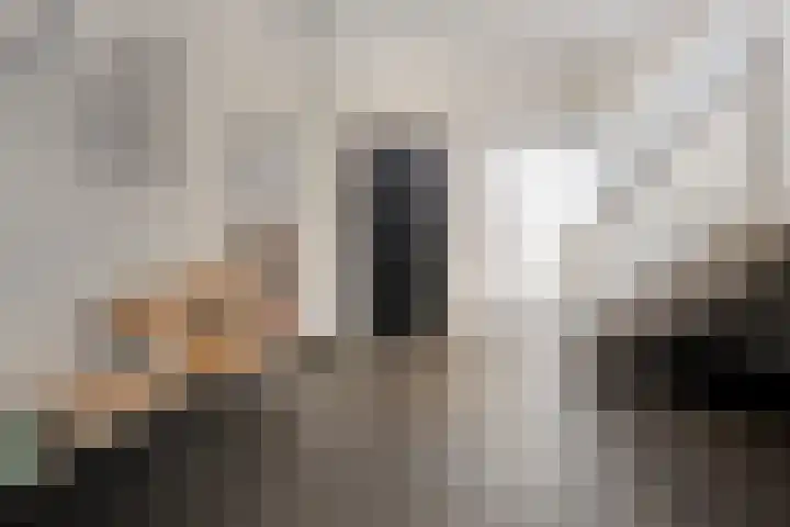 de Swaenenborgh 66 Meppel thumbnail 23
