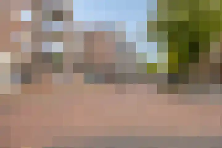 de Swaenenborgh 66 Meppel thumbnail 26