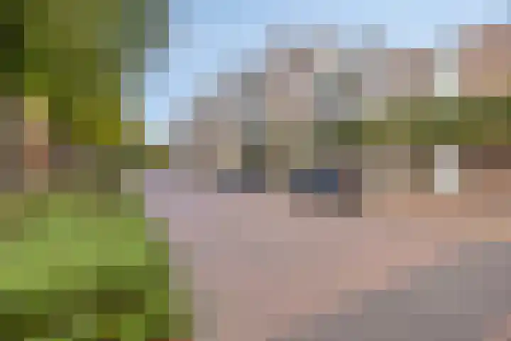 de Swaenenborgh 66 Meppel thumbnail 28