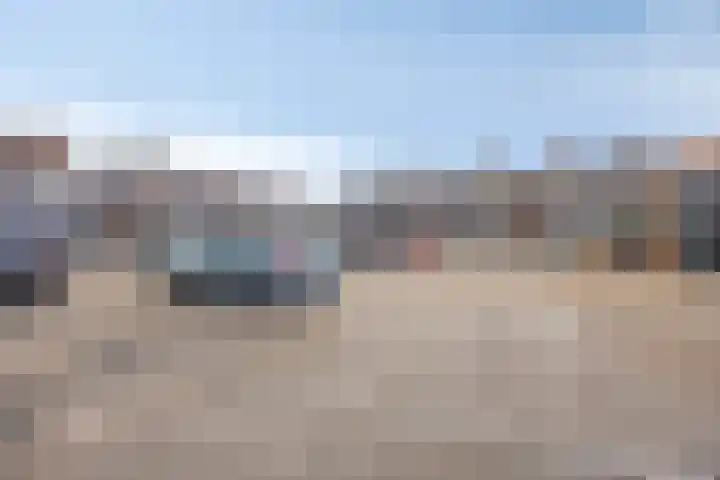 de Swaenenborgh 66 Meppel thumbnail 29