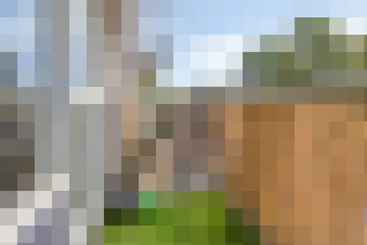 de Swaenenborgh 66 Meppel thumbnail 5