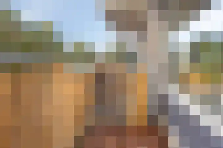 de Swaenenborgh 66 Meppel thumbnail 6