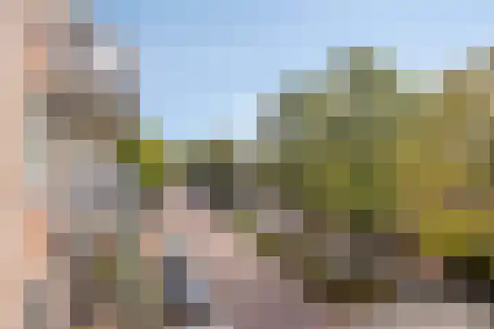 de Swaenenborgh 66 Meppel thumbnail 7