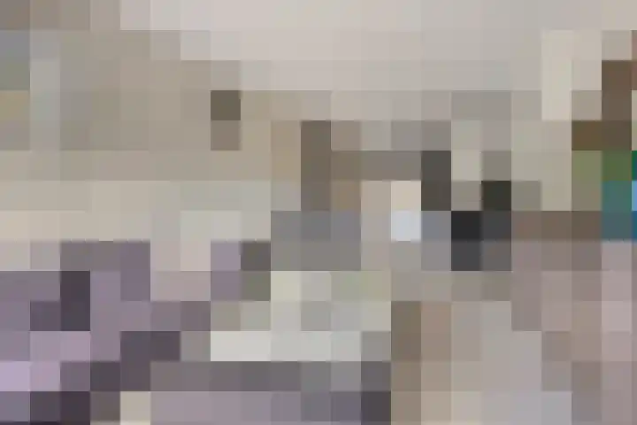 de Swaenenborgh 66 Meppel thumbnail 8