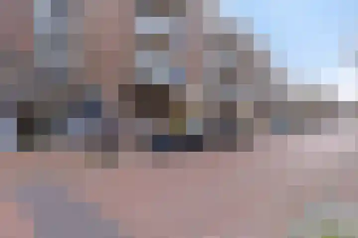 de Swaenenborgh 68 Meppel thumbnail 25