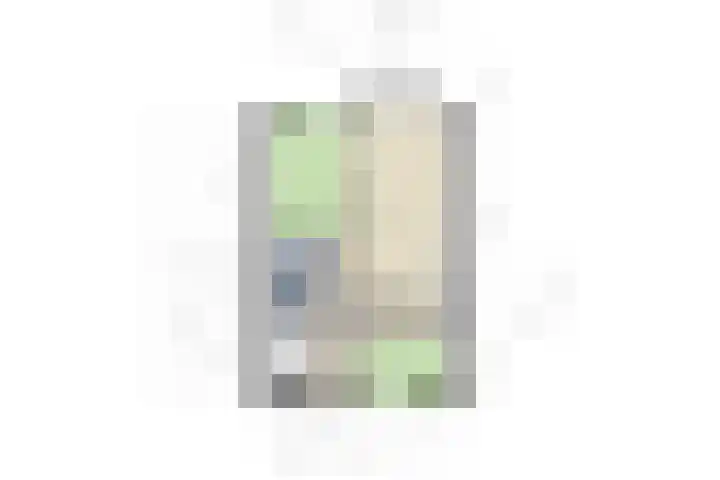 de Swaenenborgh 68 Meppel thumbnail 27