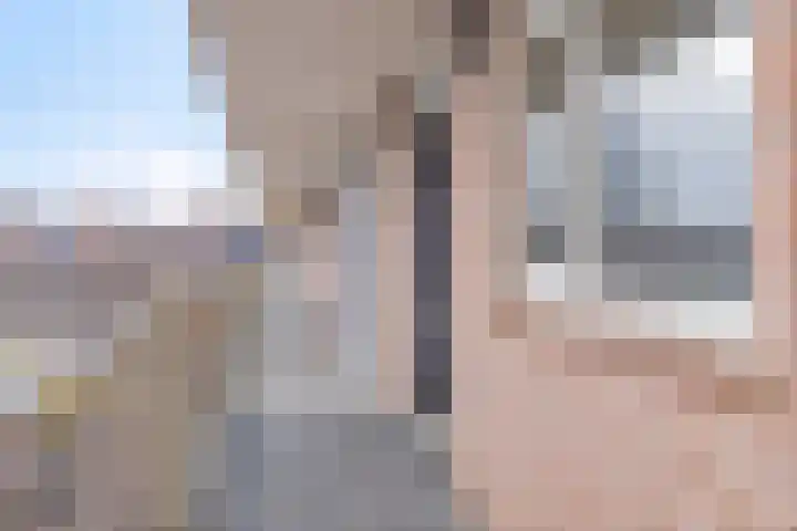 de Swaenenborgh 68 Meppel thumbnail 4