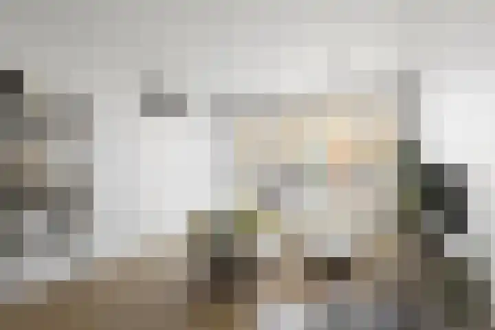 de Swaenenborgh 68 Meppel thumbnail 7
