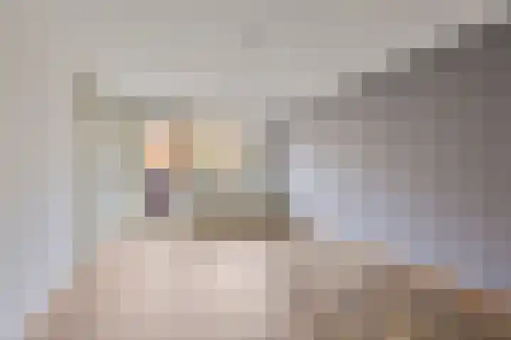 de Swaenenborgh 68 Meppel thumbnail 8