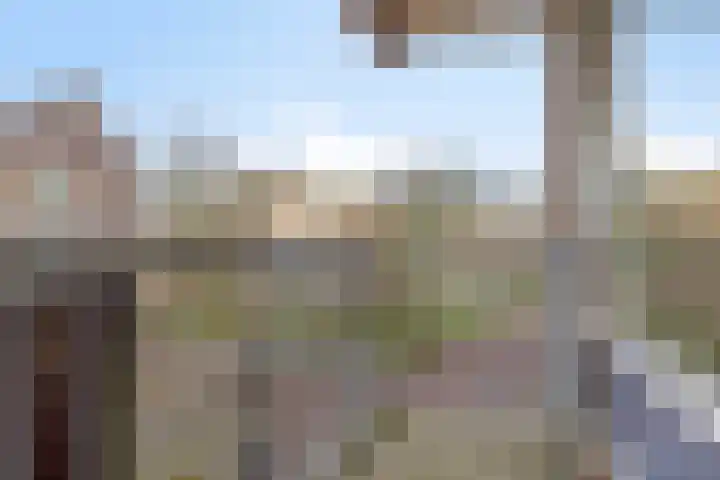 de Swaenenborgh 68 Meppel thumbnail 9
