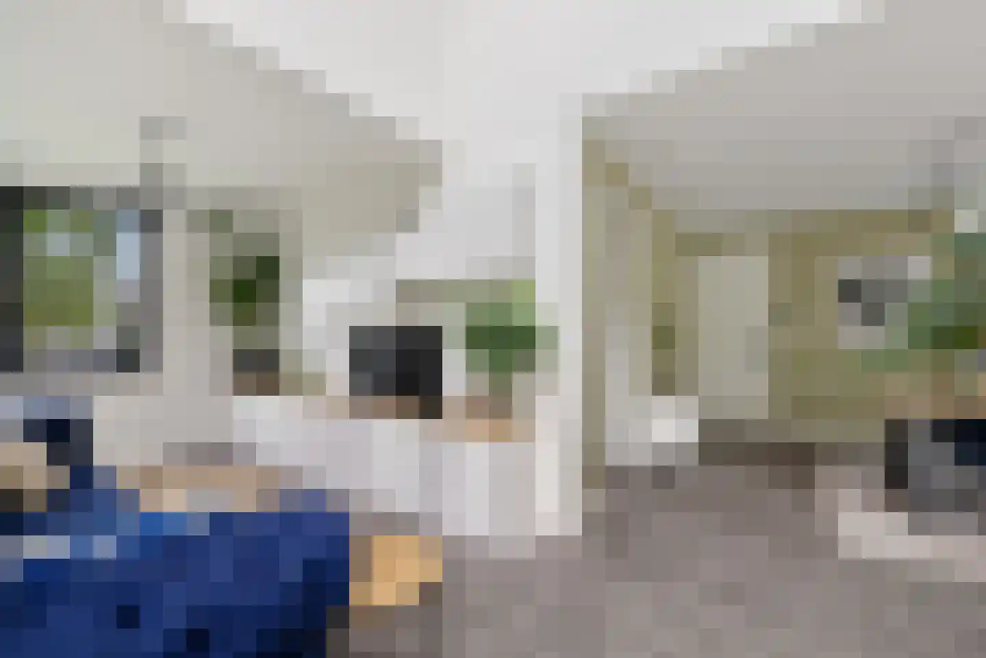 De Swan 19 Joure thumbnail 12