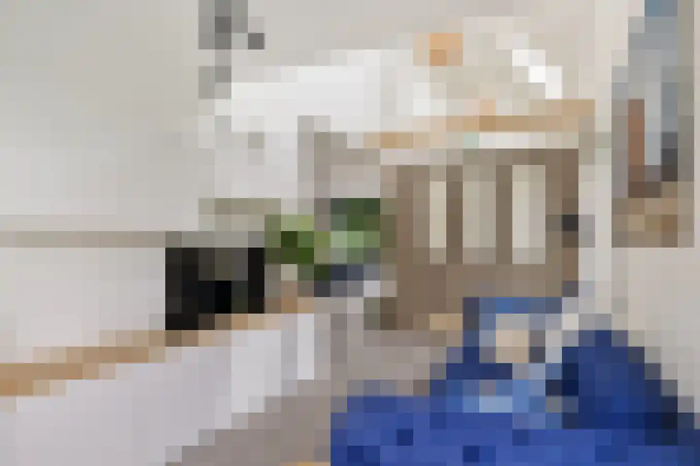 De Swan 19 Joure thumbnail 15