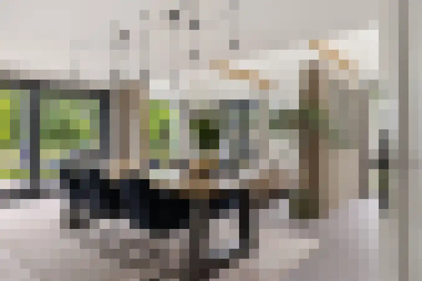 De Swan 19 Joure thumbnail 16