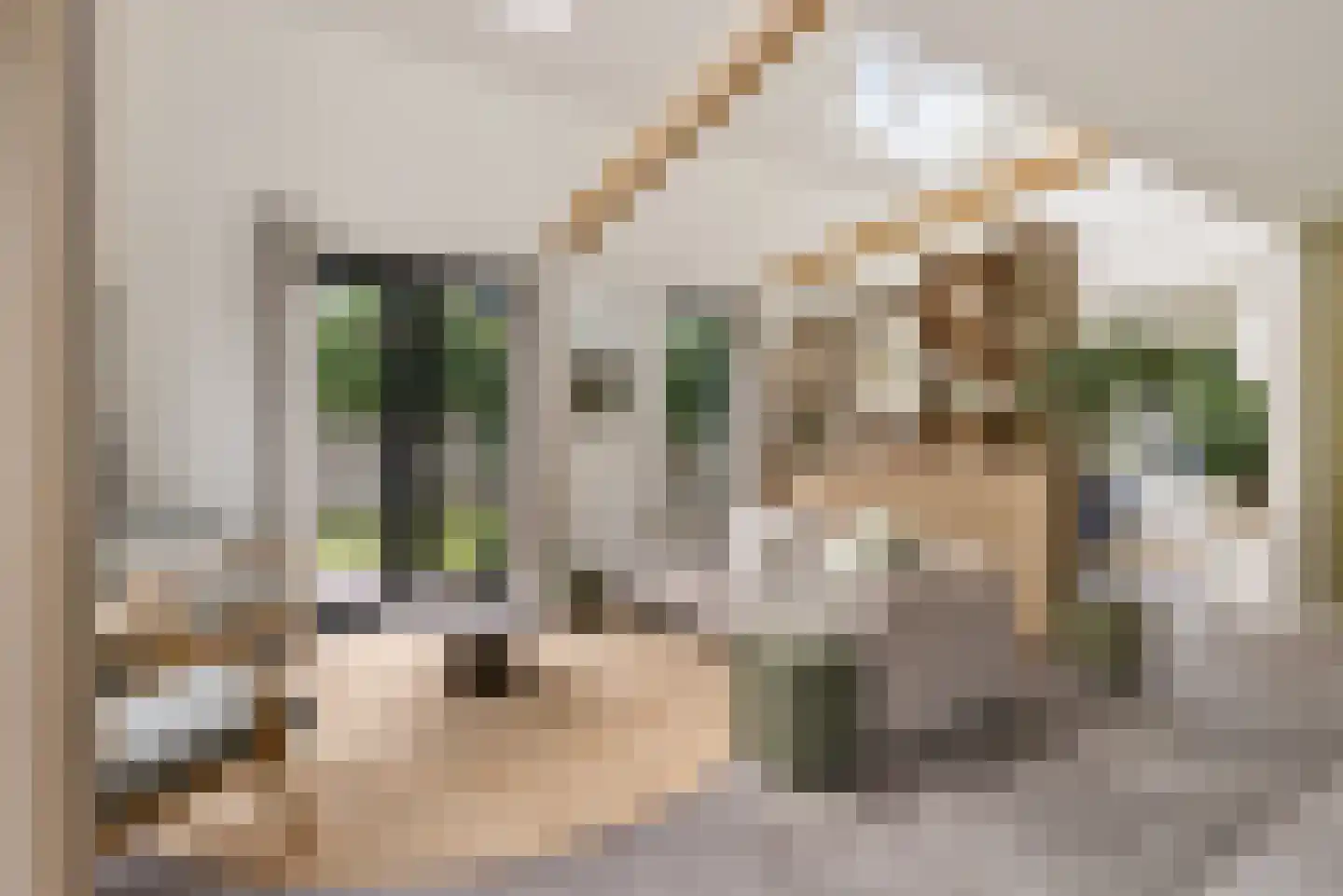 De Swan 19 Joure thumbnail 17