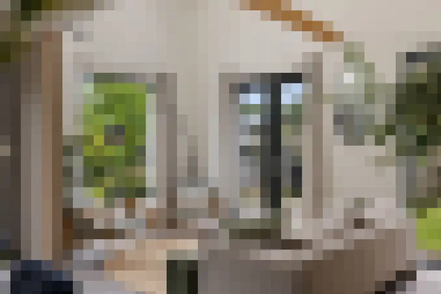 De Swan 19 Joure thumbnail 19