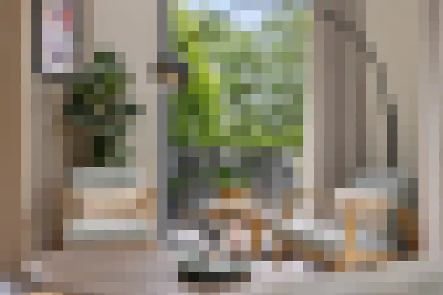 De Swan 19 Joure thumbnail 20